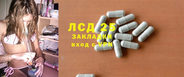 ПСИЛОЦИБИНОВЫЕ ГРИБЫ Гусь-Хрустальный