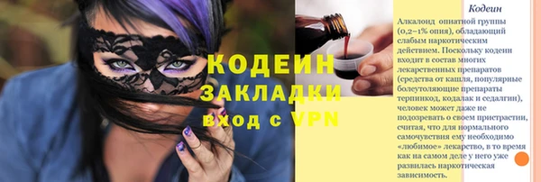 ПСИЛОЦИБИНОВЫЕ ГРИБЫ Гусь-Хрустальный