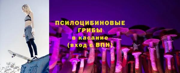 apvp Гусев