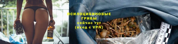 ПСИЛОЦИБИНОВЫЕ ГРИБЫ Гусь-Хрустальный