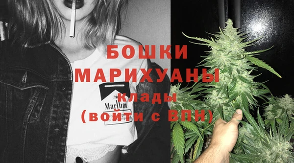 Альфа ПВП Гусиноозёрск