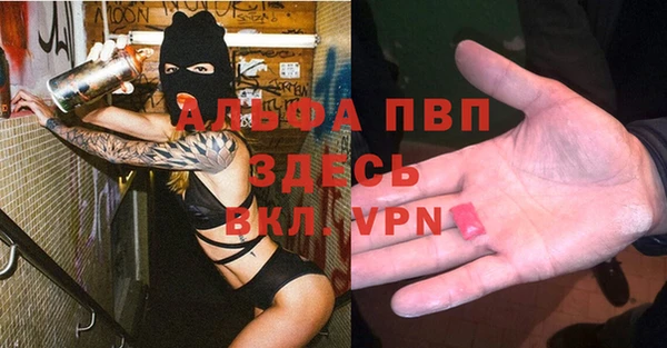 apvp Гусев