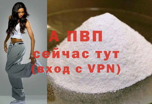Альфа ПВП Гусиноозёрск