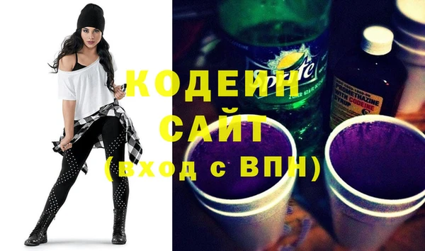 apvp Гусев