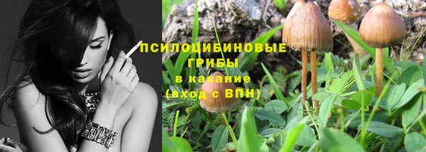 Альфа ПВП Гусиноозёрск