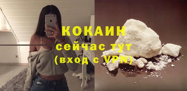 apvp Гусев