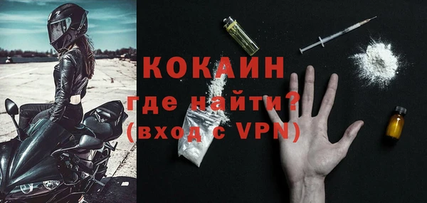 apvp Гусев