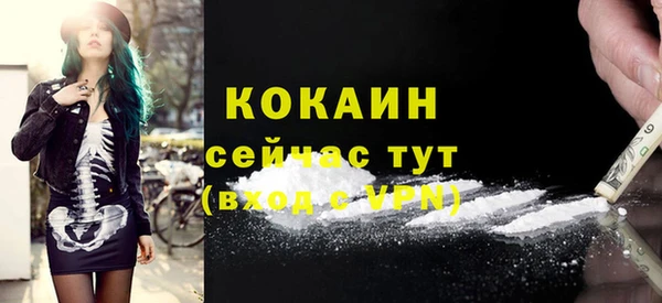 ПСИЛОЦИБИНОВЫЕ ГРИБЫ Гусь-Хрустальный