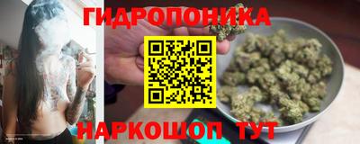 ПСИЛОЦИБИНОВЫЕ ГРИБЫ Новокубанск
