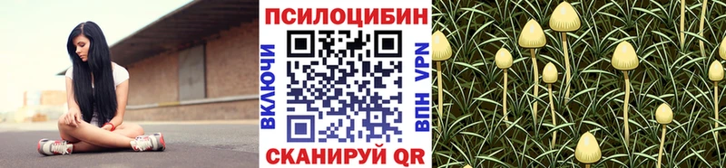 блэк спрут сайт  Заринск  Галлюциногенные грибы Cubensis  дарнет шоп 