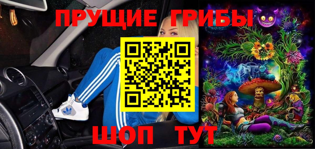 Галлюциногенные грибы Cubensis Заринск