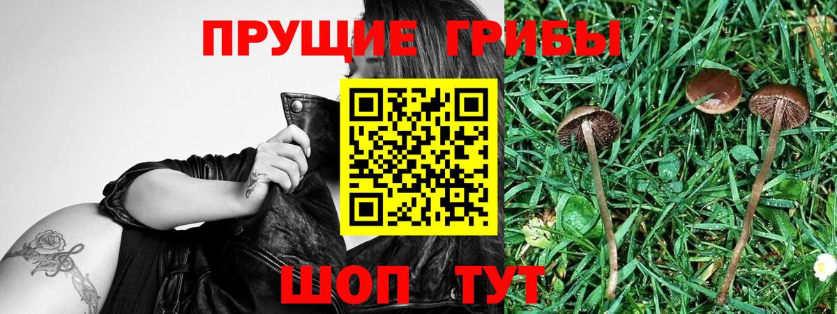 как найти   Псилоцибиновые грибы мицелий  Заринск  Вход с VPN  Галлюциногенные грибы MAGIC MUSHROOMS 