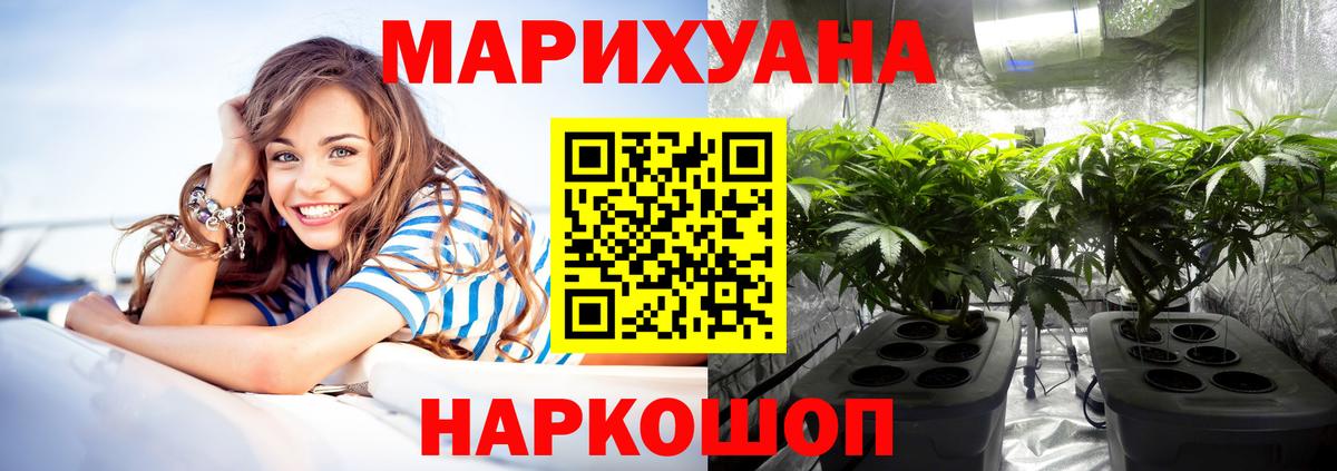 Марихуана планчик  Шишки марихуана тримм  Заринск  Канабис марихуана  Вход с VPN 